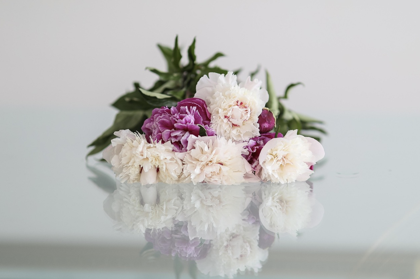 Научный подход к красоте – как продлить жизнь пионам в вазе на максимум