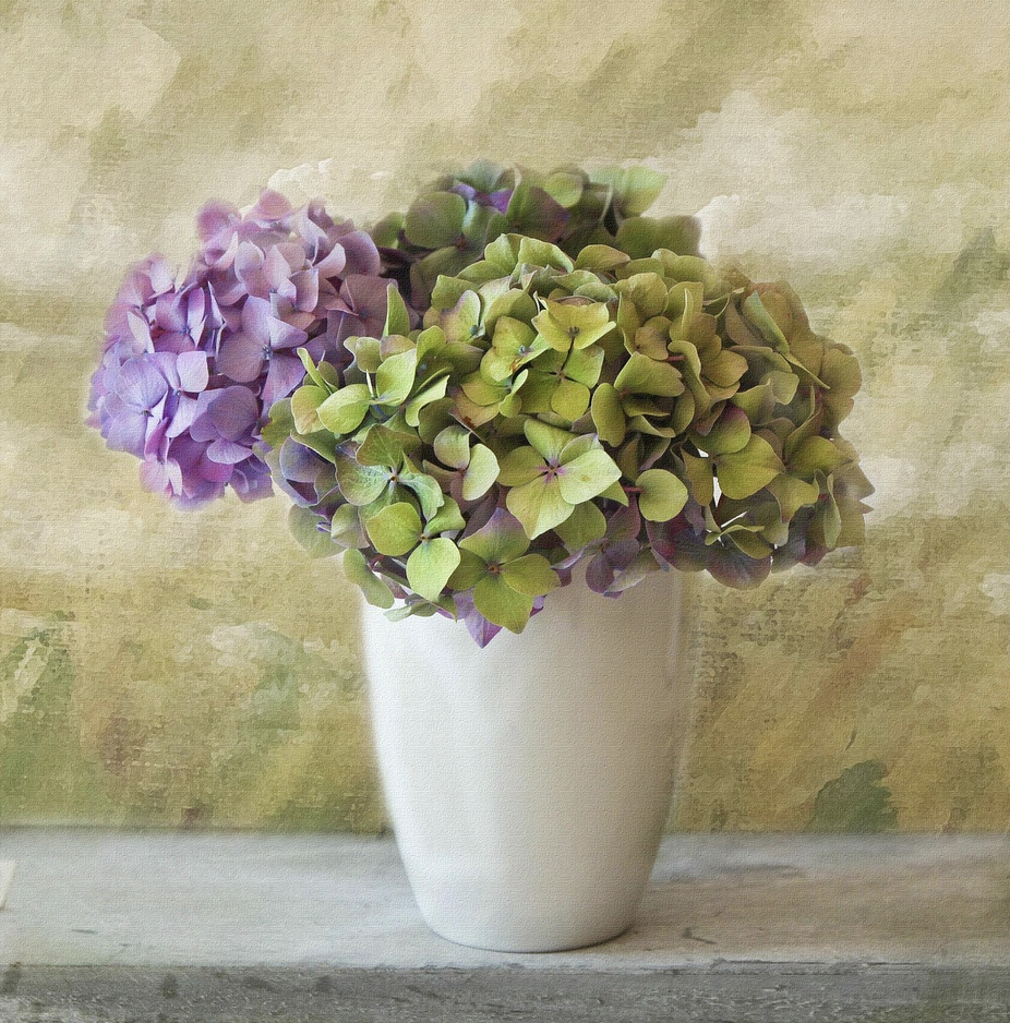 Королевский выбор – почему гортензия прочно заняла место в свадебной классике