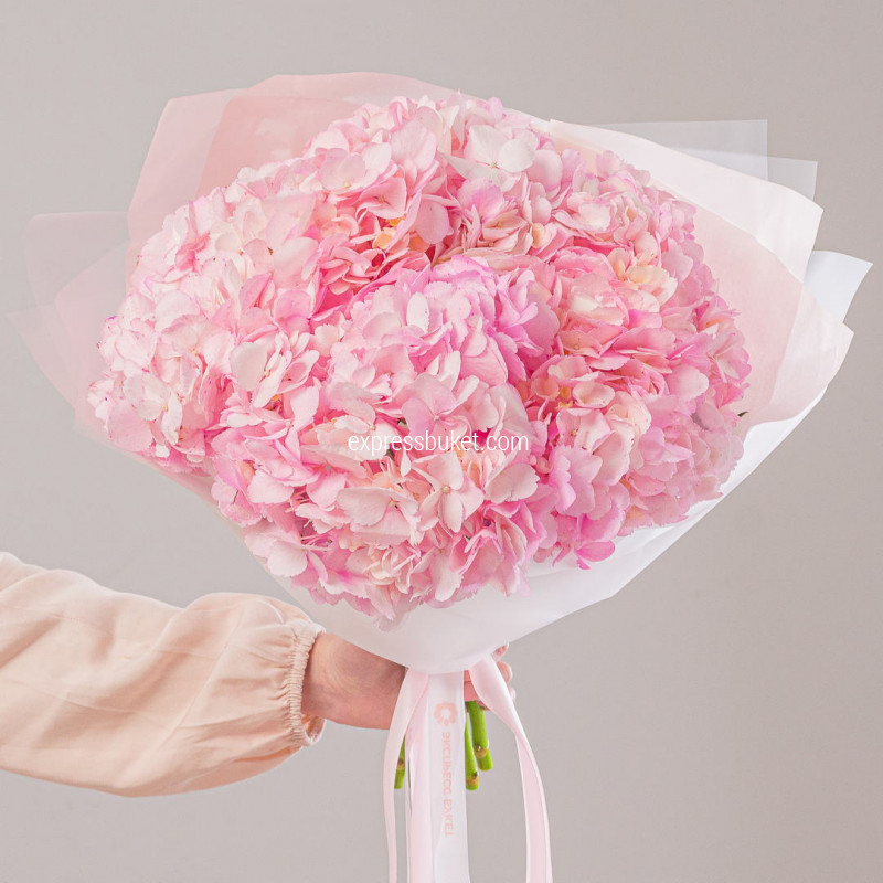 Букет из 5 гортензий