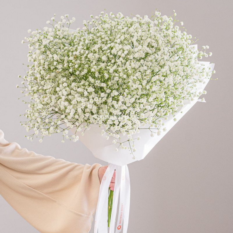 Букет из 11 белых гипсофил