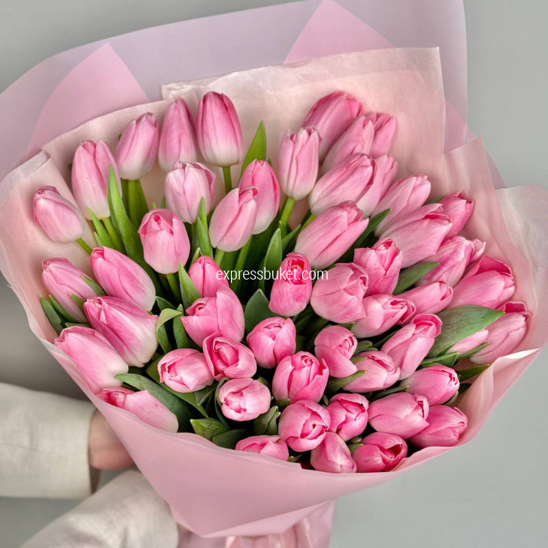 Нежно-розовые тюльпаны, 51 шт