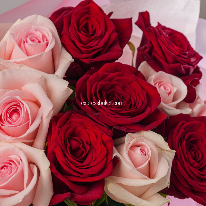 Микс роз красные+розовые